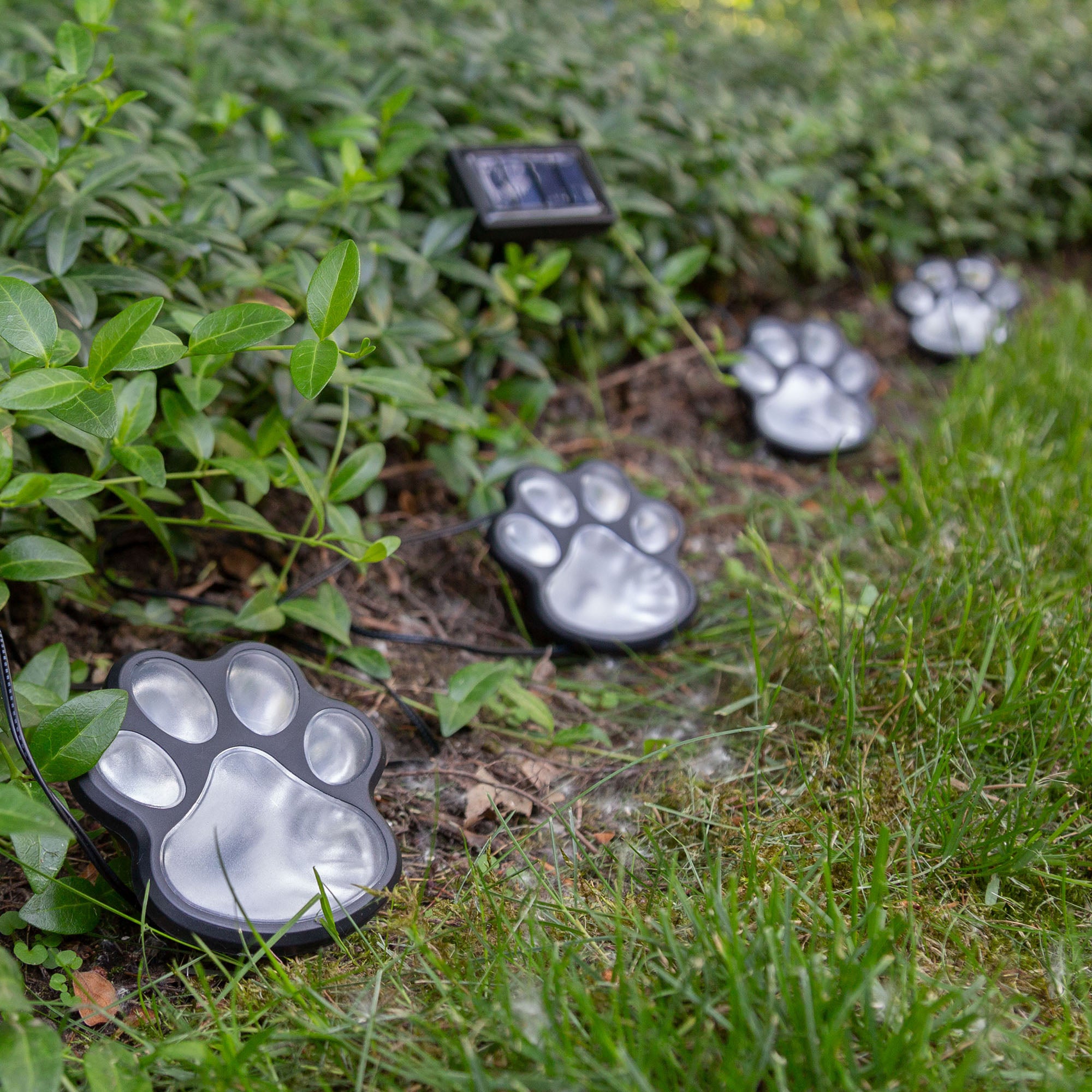 Ultimate Paw Print Solar Garden Lights Set