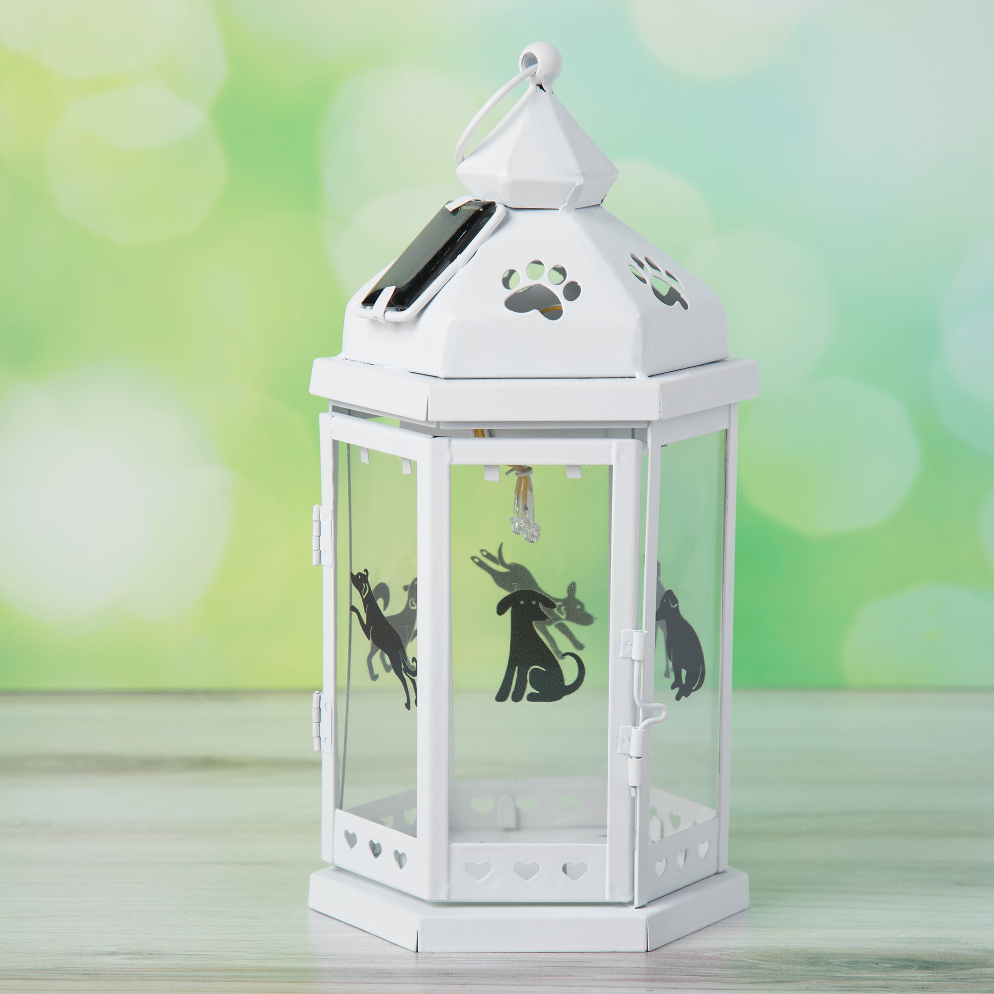 Premium Solar Pet Silhouette Lantern - Ultimate Outdoor Decor