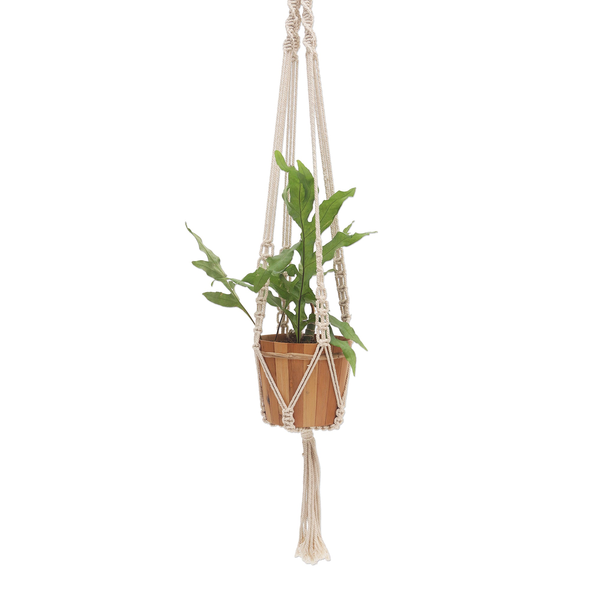Premium Hand-Knotted Cotton Macrame Plant Hanger – White Elegance from Bali