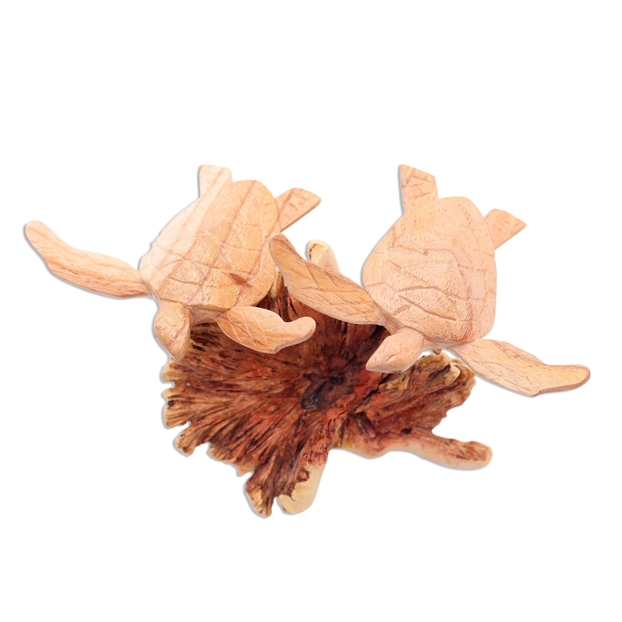 Premium Handcrafted Sea Turtle Sculpture - Jempinis & Benalu Wood Art