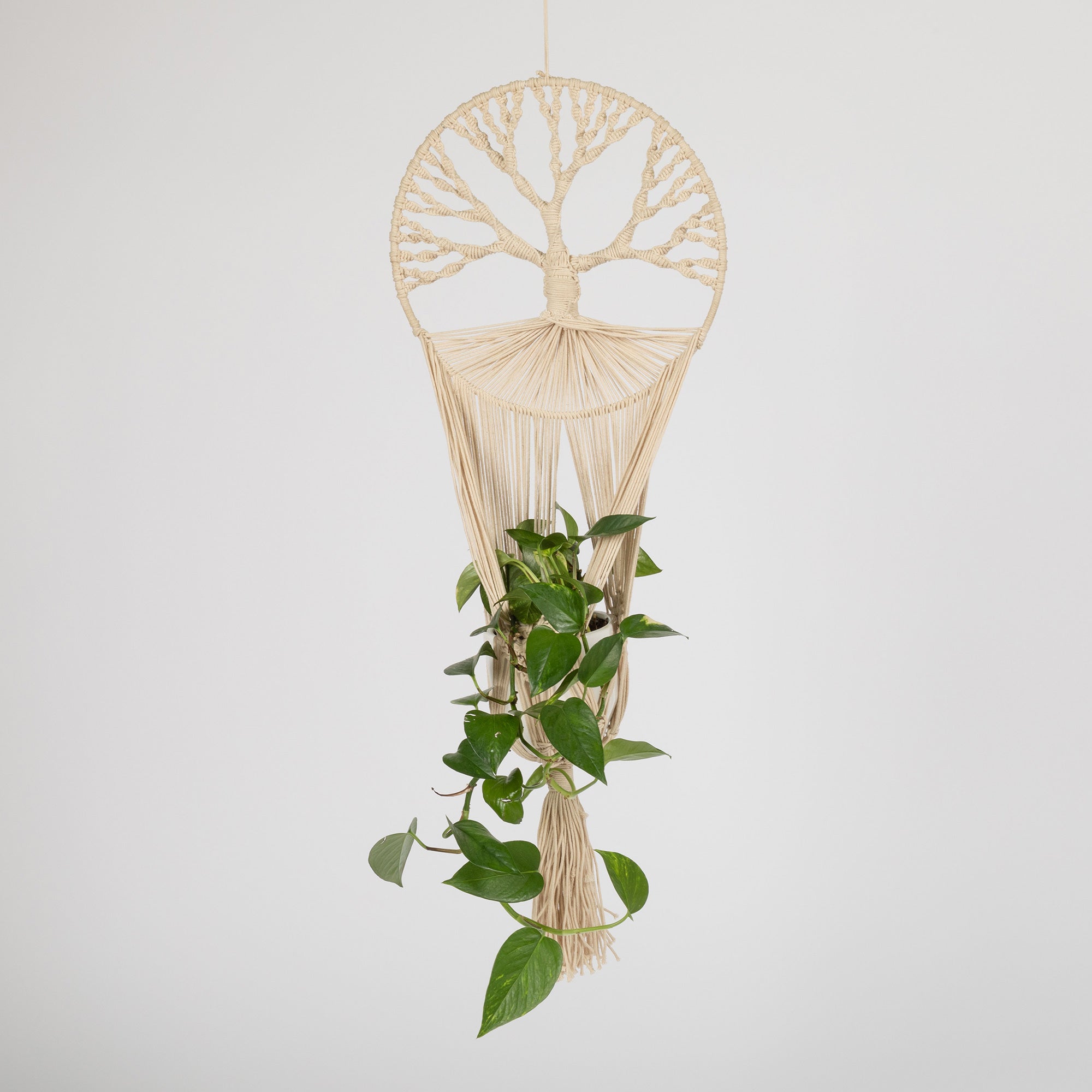 Premium Tree of Life Macrame Plant Hanger - Handmade & Eco-Friendly