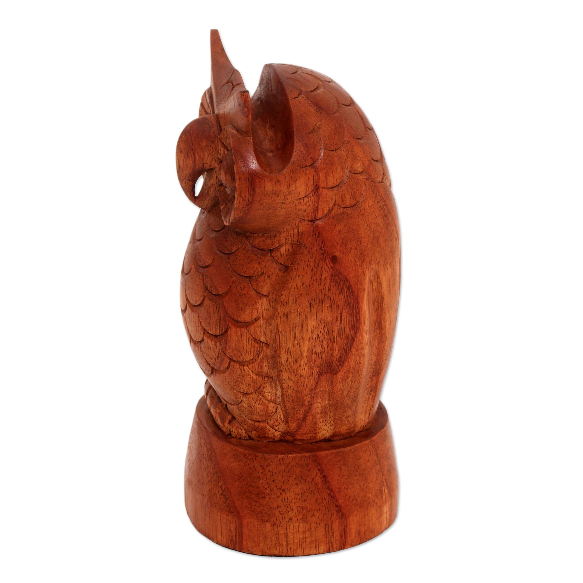 Premium Wise Owl Eyeglasses Holder - Handcrafted Jempinis Wood from Bali