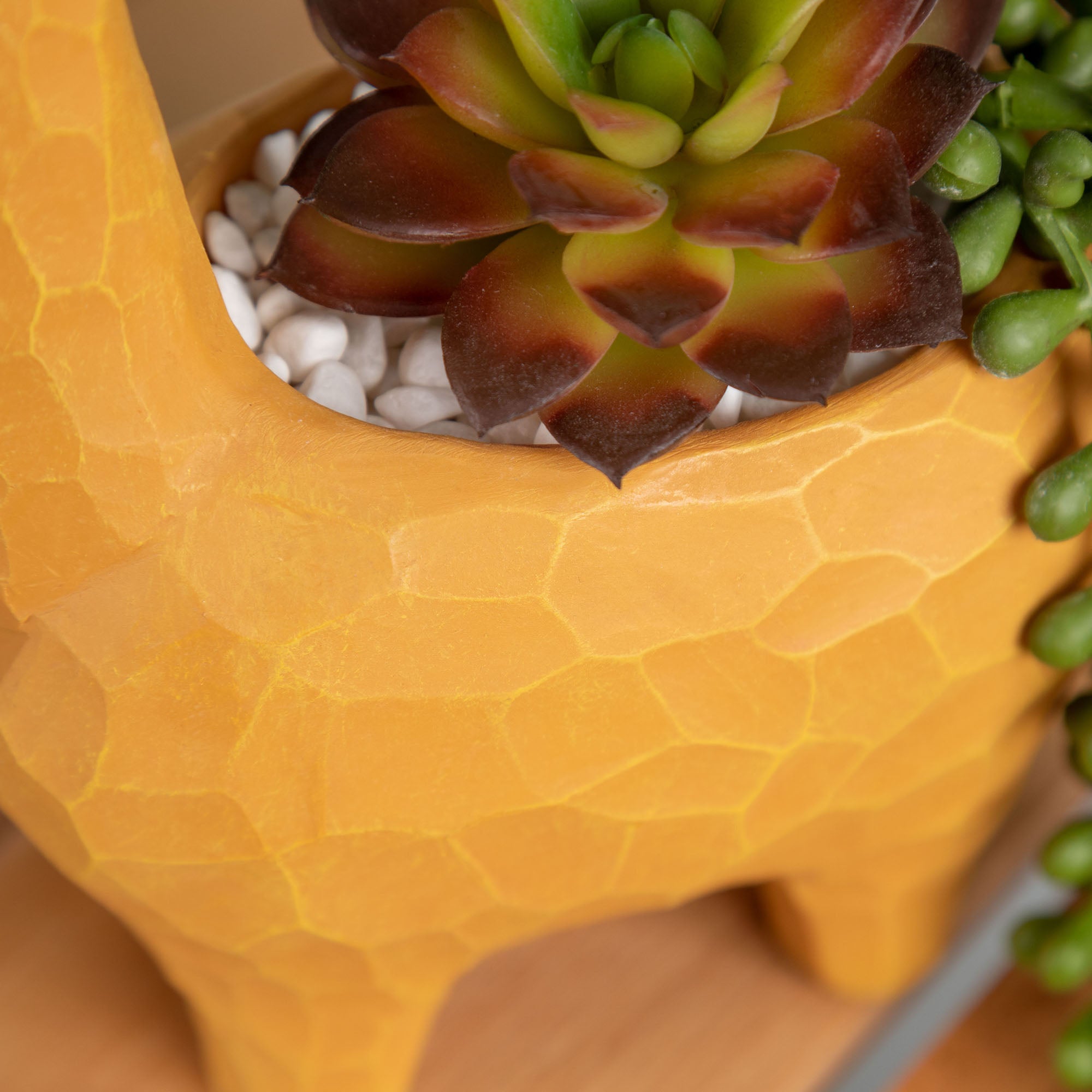 Premium Wild Kingdom Planter - Ultimate Indoor & Outdoor Décor
