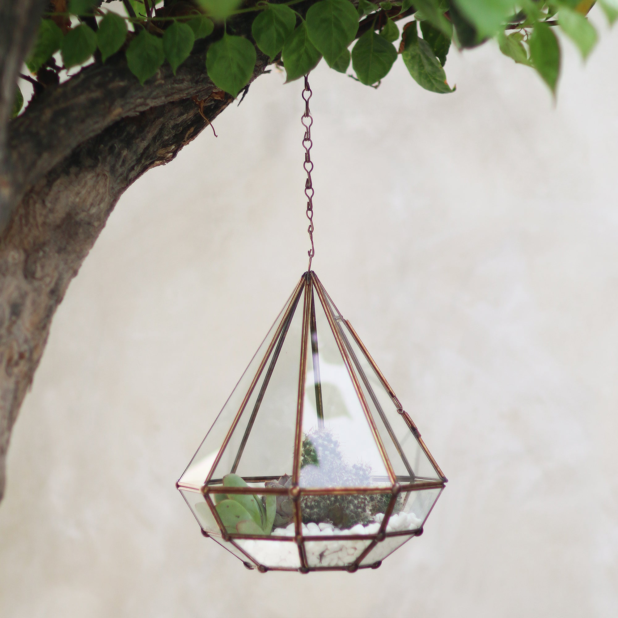 Premium Taman Keraton Handmade Javanese Glass and Brass Hanging Plant Terrarium - Elevate Your Indoor Garden