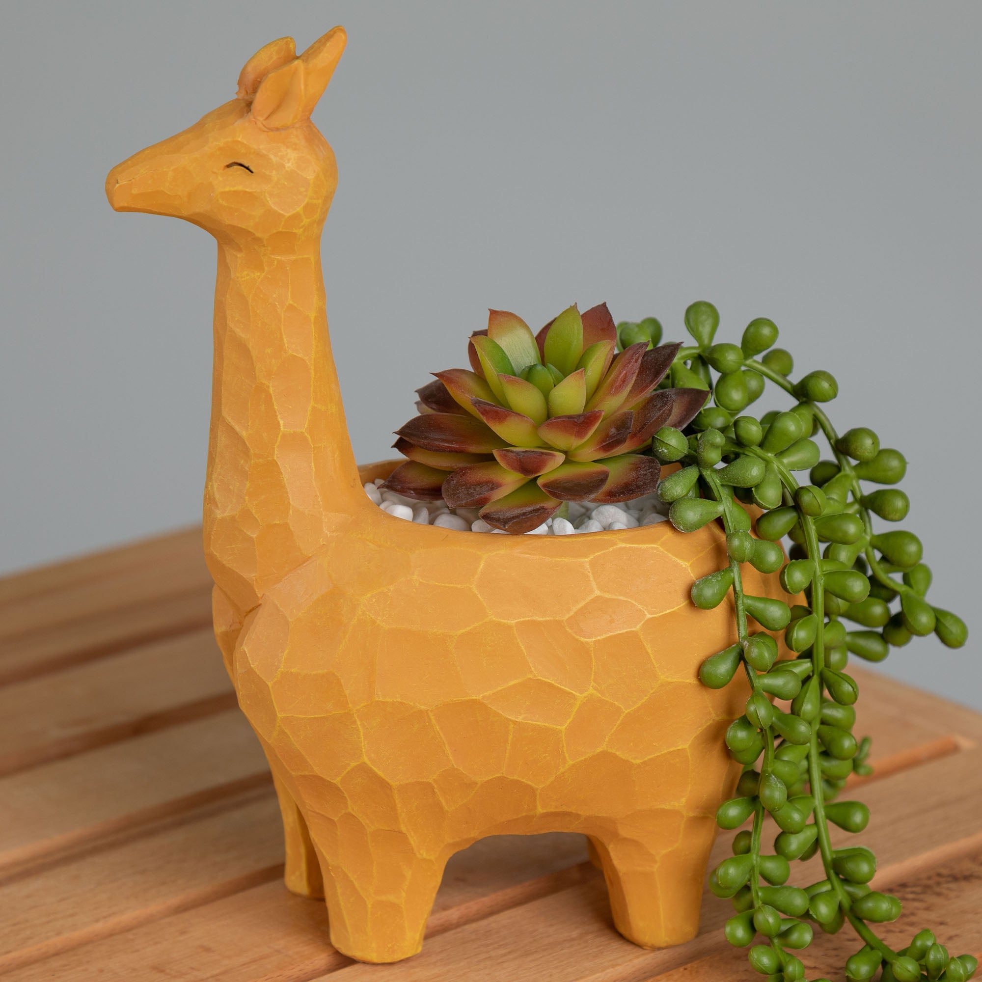 Premium Wild Kingdom Planter - Ultimate Indoor & Outdoor Décor