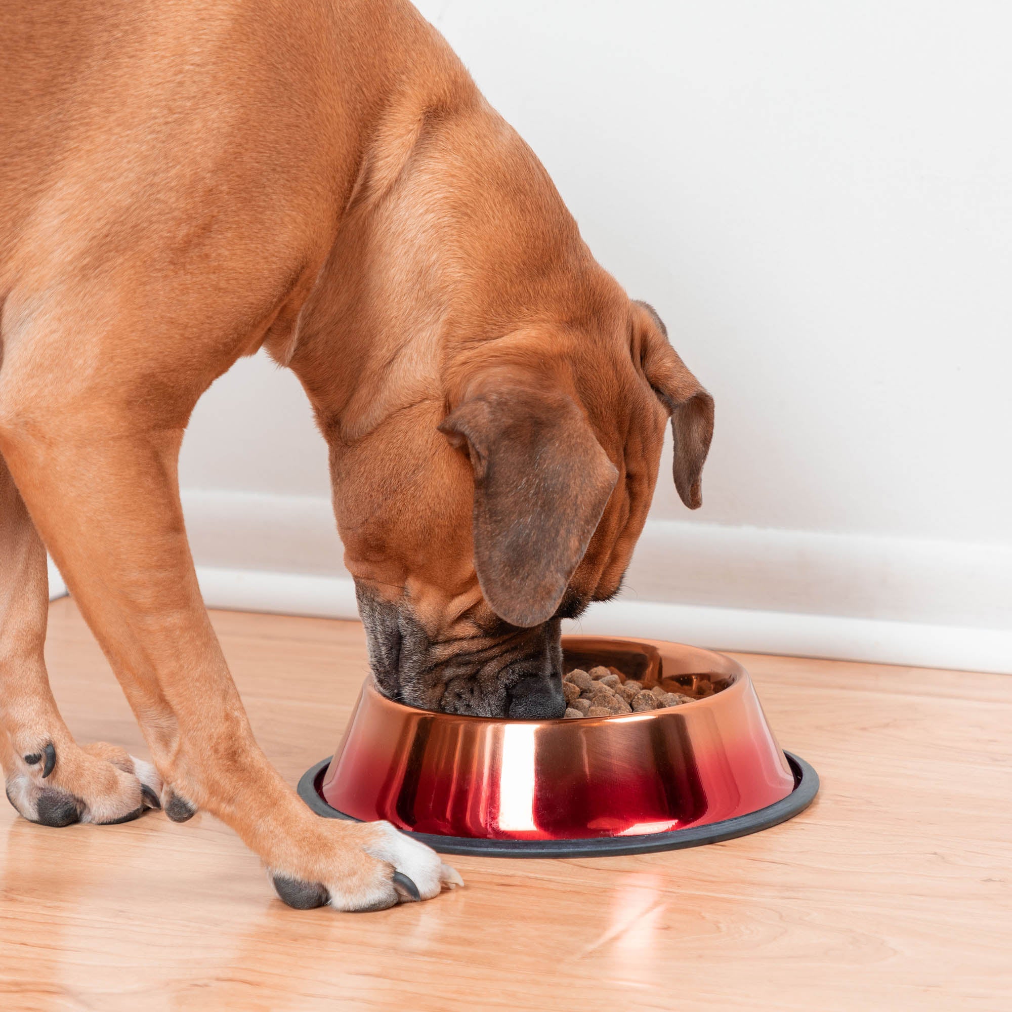 Premium Copper Sunset Ombre Pet Dish - Ultimate Non-Slip Bowl