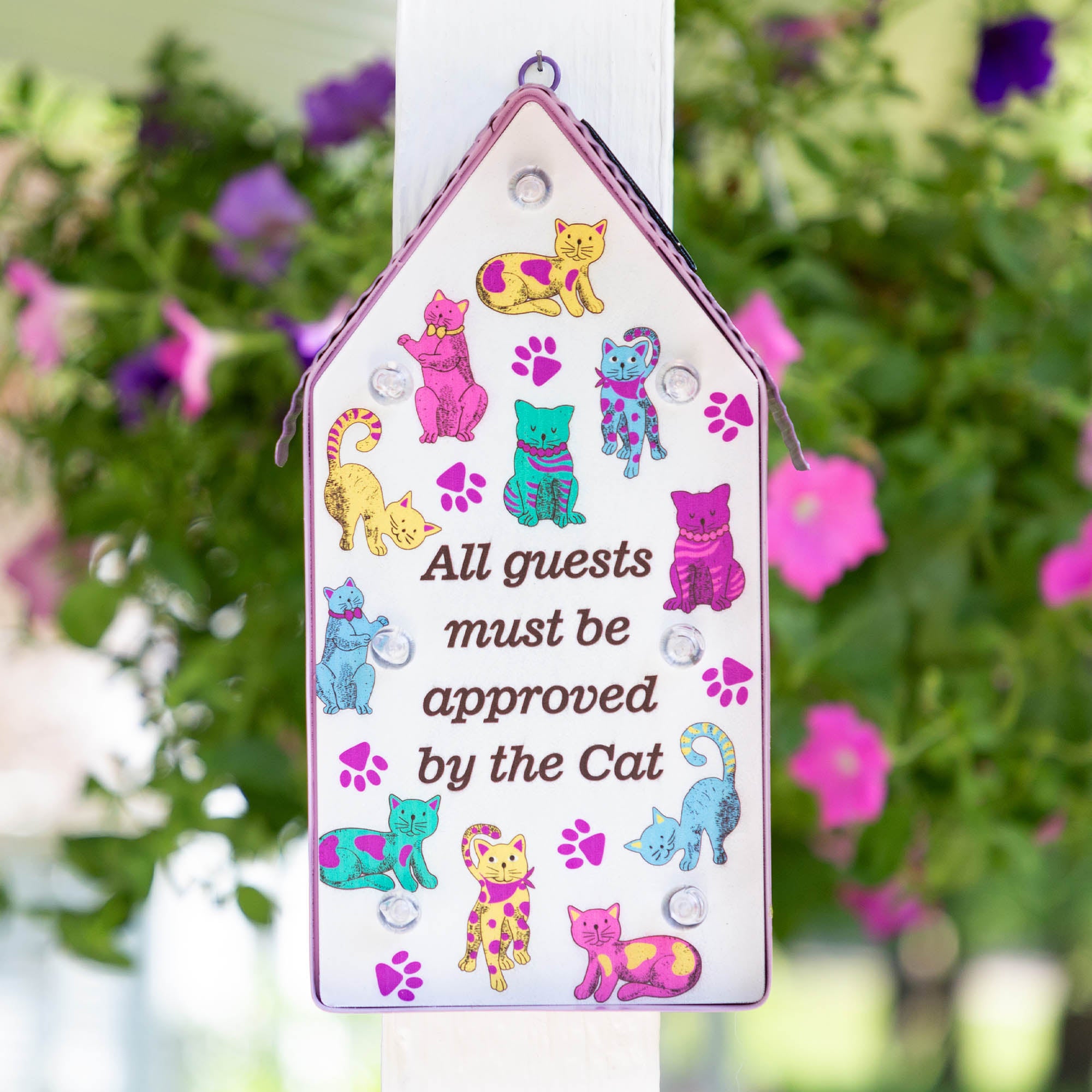Premium Cat-Approved Solar Light - All Guests Welcome