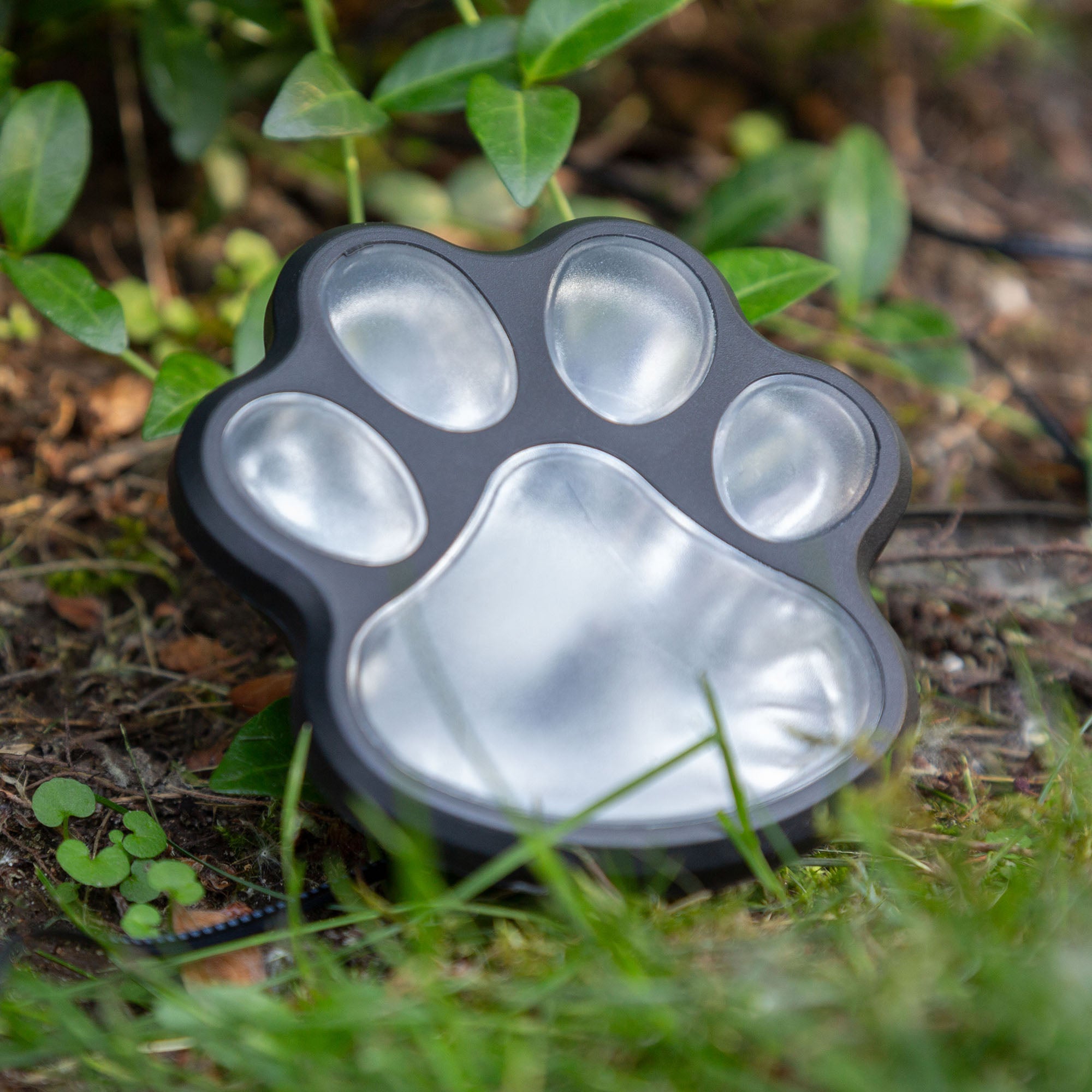 Ultimate Paw Print Solar Garden Lights Set