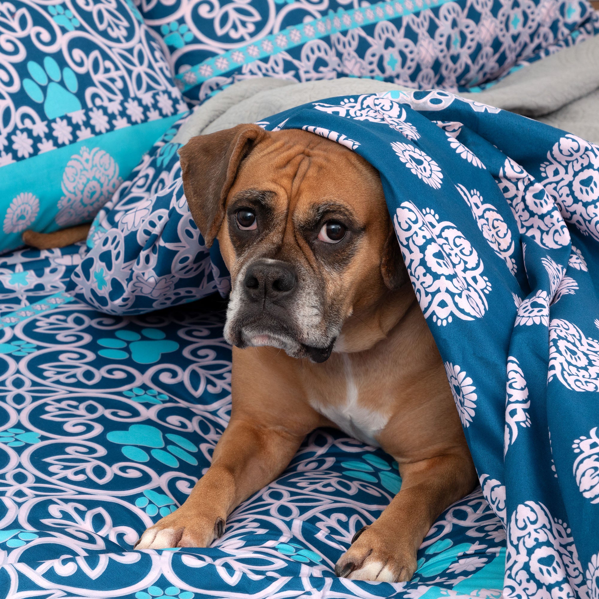 Premium Paws & Medallions Microfiber Sheet Set - Ultimate Comfort for Animal Lovers