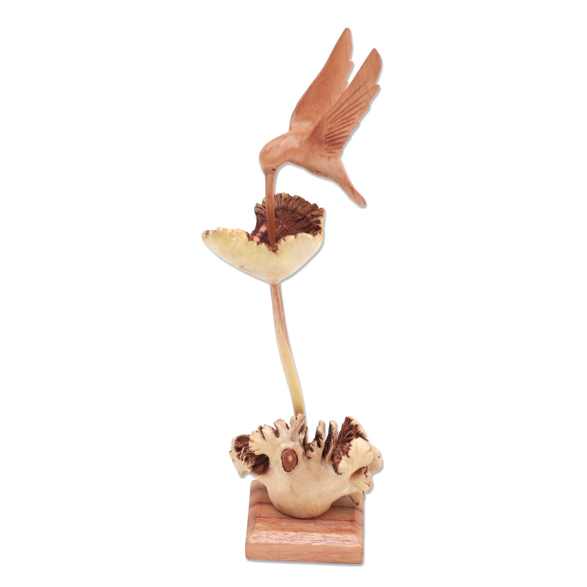 Premium Hand-Carved Hummingbird Sculpture – Nature-Inspired Home Decor from Bali